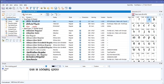 FontMain Application B4 Crash.jpg