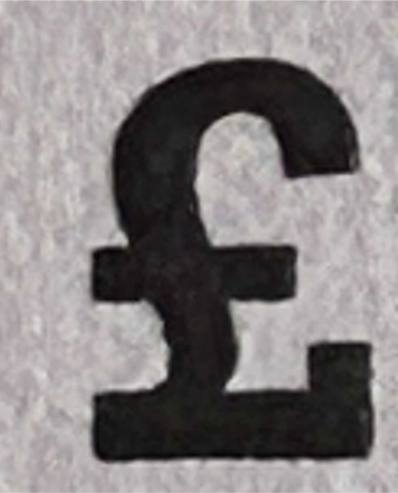 pound Image.jpg